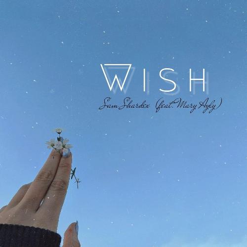 Wish (feat. Mary Ayly)