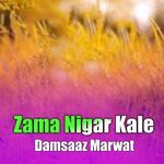 Zama Nigar Kale