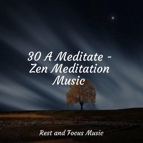 30 A Meditate - Zen Meditation Music