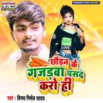 Chhaudan Ke Gajadwa Pasand Karo Hi