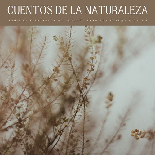 Música Para Perros cover art