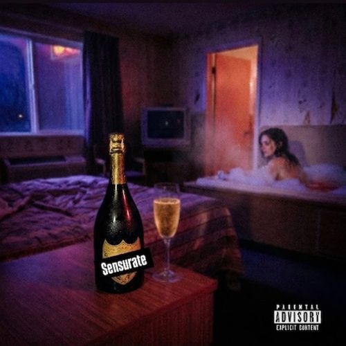 D0M P3RIGN0N cover art
