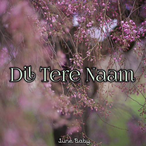 Dil Tere Naam