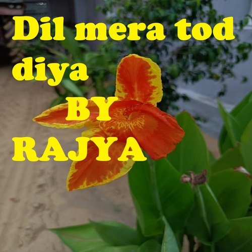 Dil mera tod diya