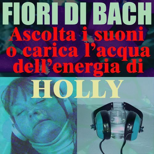 Holly cover art