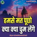 Humse Mat Pucho Kya Kya Choom Lenge