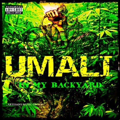 IN MY BACKYARD cover art
