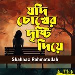 Jodi Chokher Drishti Diye