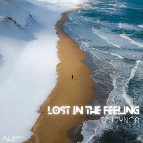 Lost In The Feeling_poster_image