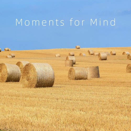 Moments for Mind