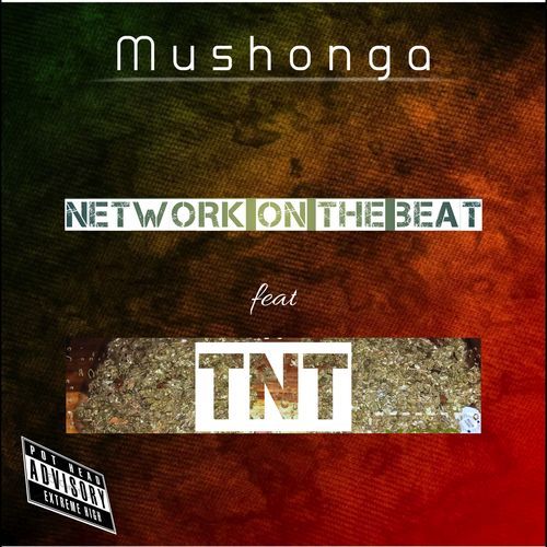 Mushonga cover art