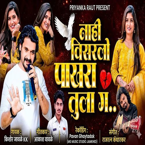 Nahi Visarlo Pakhara Tula G