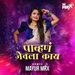 Pahun Jevla Kay Gautami Patil Jevalaa Kaay (DJ Song)