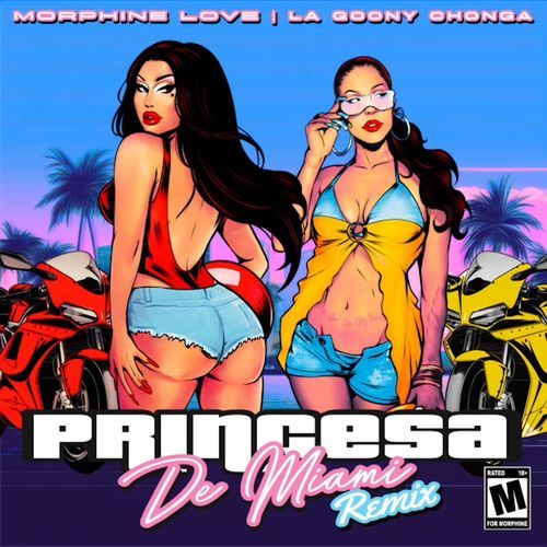 Princesa de Miami (Soundboyz Remix)_poster_image