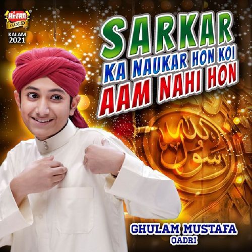 Sarkar Ka Naukar Hon Koi Aam Nahi Hon cover art