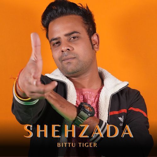 Shehzada