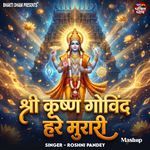 Shri Krishna Govind Hare Murari Mashup