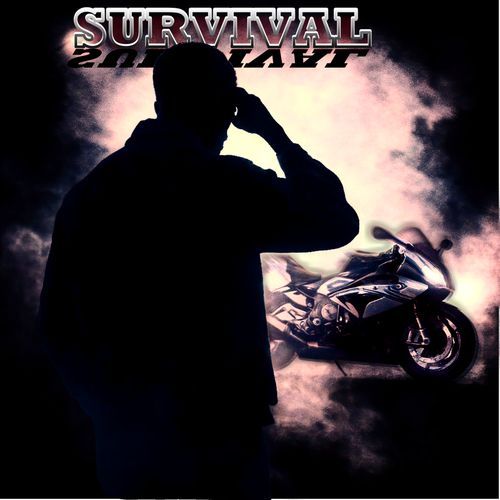 333 cover art