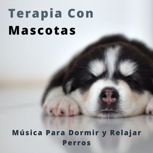 Pakhawaj  Para Relajar Gatos cover art