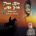 Tere Bin Ab Yeh
