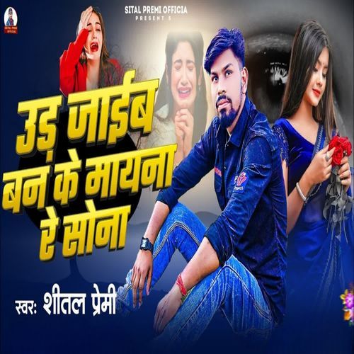 Ud Jaib Banke Maina Re Sona