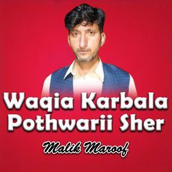 Waqia Karbala Pothwarii Sher-IzBTfjF1Ums