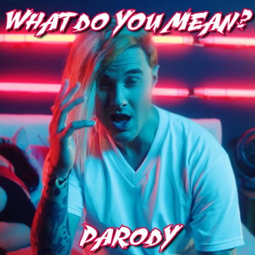 What Do You Mean? (Parody)