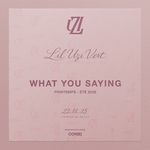 What You Saying_poster_image
