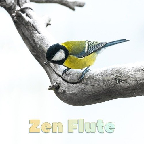 Zen Flute_poster_image