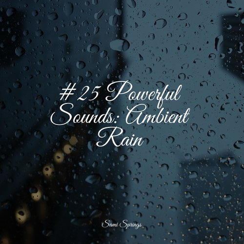 #25 Powerful Sounds: Ambient Rain