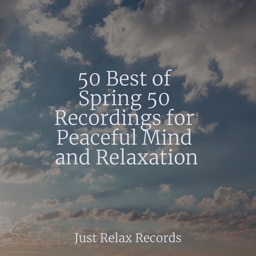 50 Best of Spring 50 Recordings for Peaceful Mind and Relaxation_poster_image