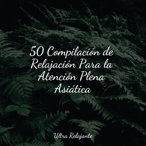 Soñando Juntos cover art