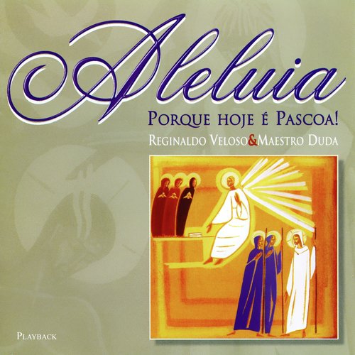 Hoje É Dia de Festa (Playback) cover art