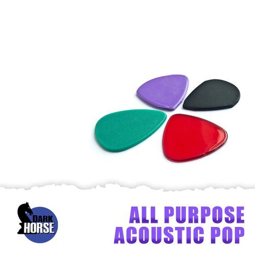 All Purpose Acoustic Pop_poster_image