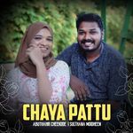 Chaya pattu