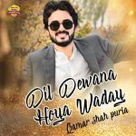 Dil Dewana Hoya Waday