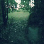 Distractions, Vol. 2