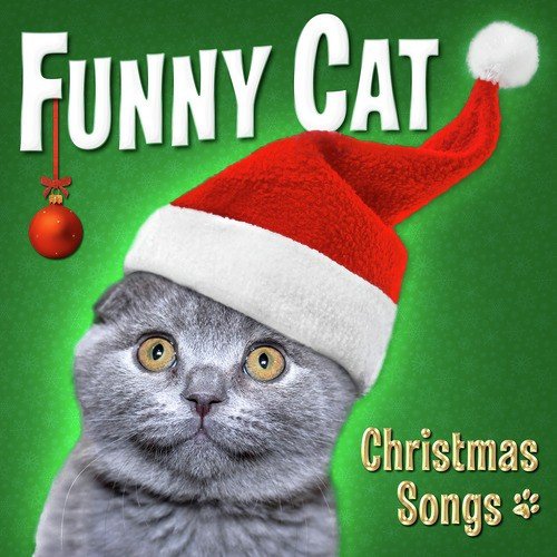 The 12 Days Of Christmas - Song Download from Funny Cat: Christmas Songs @  JioSaavn