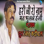 Hari ji Ro Naam Mat Bhulje Heli