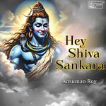 Hey Shiva Sankara