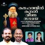 Kalahathin Kanal Veena Sabhaye