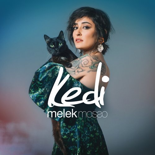 Kedi cover art