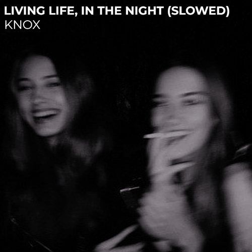 Living Life, in the Night (Slowed)_poster_image