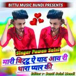 Mari Bittu Ye Yaad Aav Ri Thara Pyar Ki