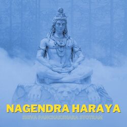 Nagendra Haraya (Shiva Panchakshara Stotram)-Ki8gVgRyWQQ