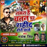 Naman Hai Watan Par Shahid Hone Vale