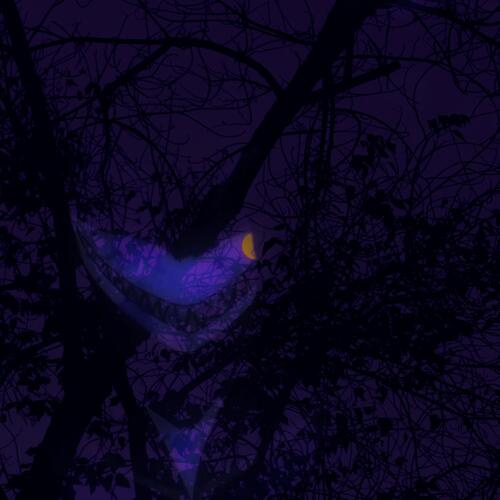 DntEatShrooms cover art