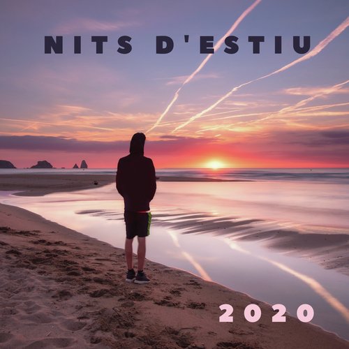 Nits D&#039;Estiu (2020)_poster_image