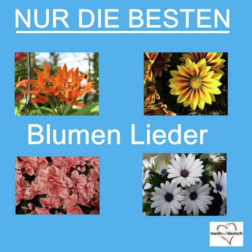 Nur die Besten - Blumen Lieder