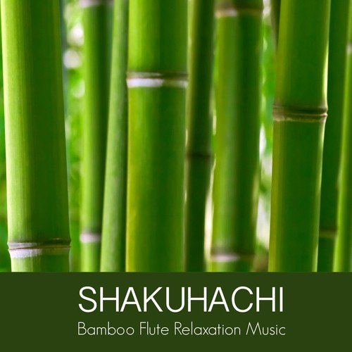 Shakuhachi Bamboo Flute Relaxation Music - Oriental Japanese Music for Zen Buddhist Meditation